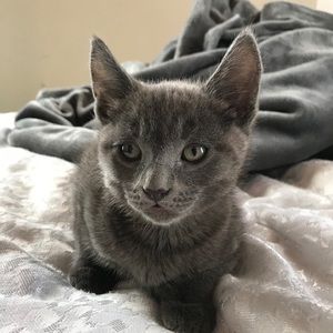 Meet your Posher, Melanie